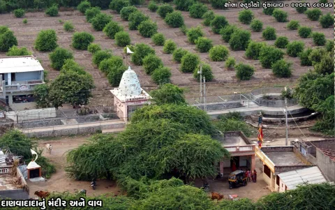 નવા ફોટા – ફોટો 49